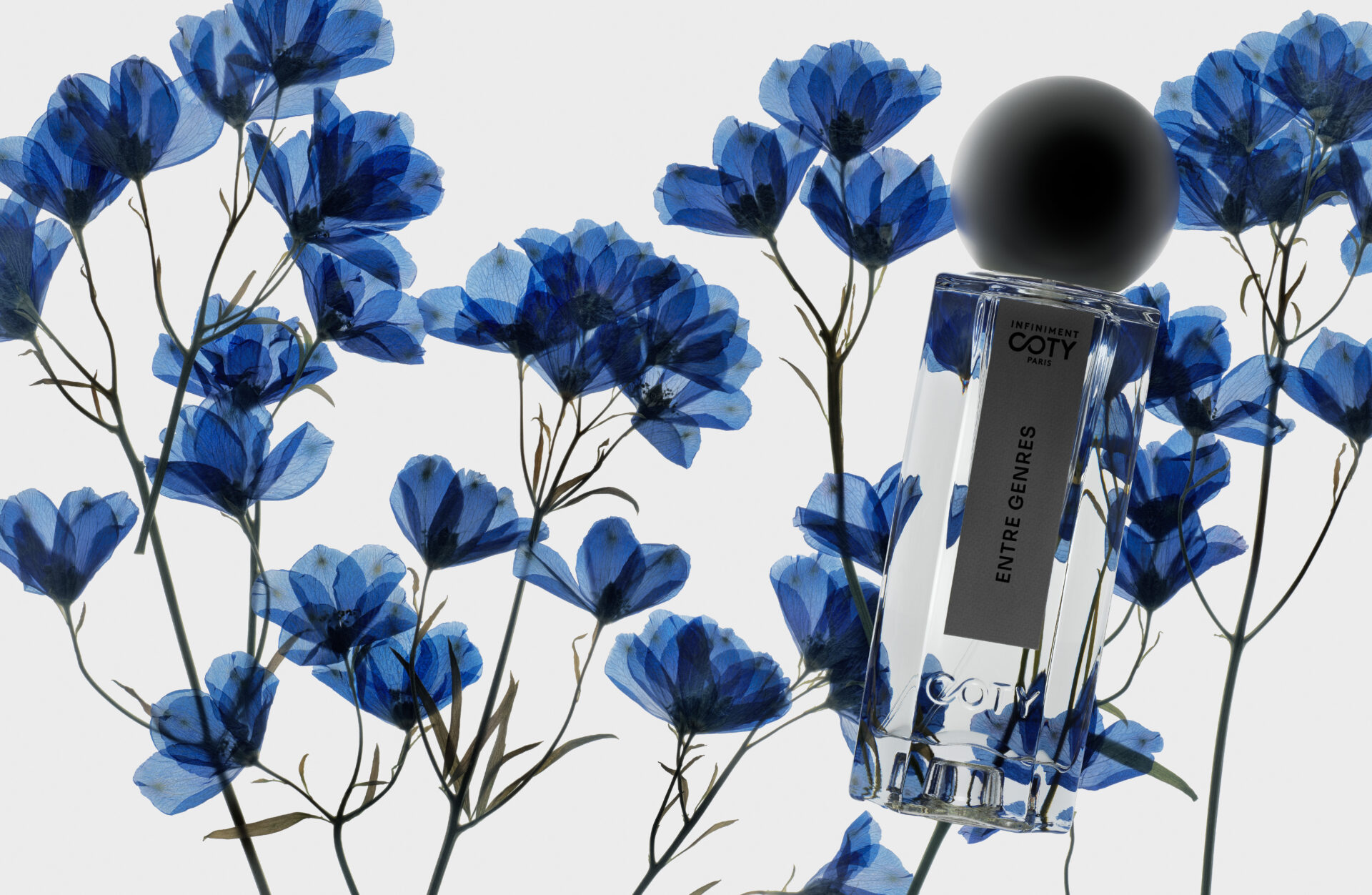 Narcisse 2025Nov : IN THE MOOD FOR BlOOM